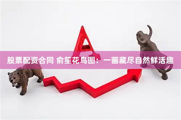 股票配资合同 俞笙花鸟图：一画藏尽自然鲜活趣