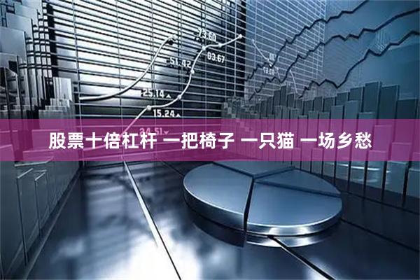 股票十倍杠杆 一把椅子 一只猫 一场乡愁